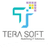 TERASOFT logo