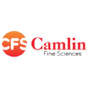 CAMLINFINE logo